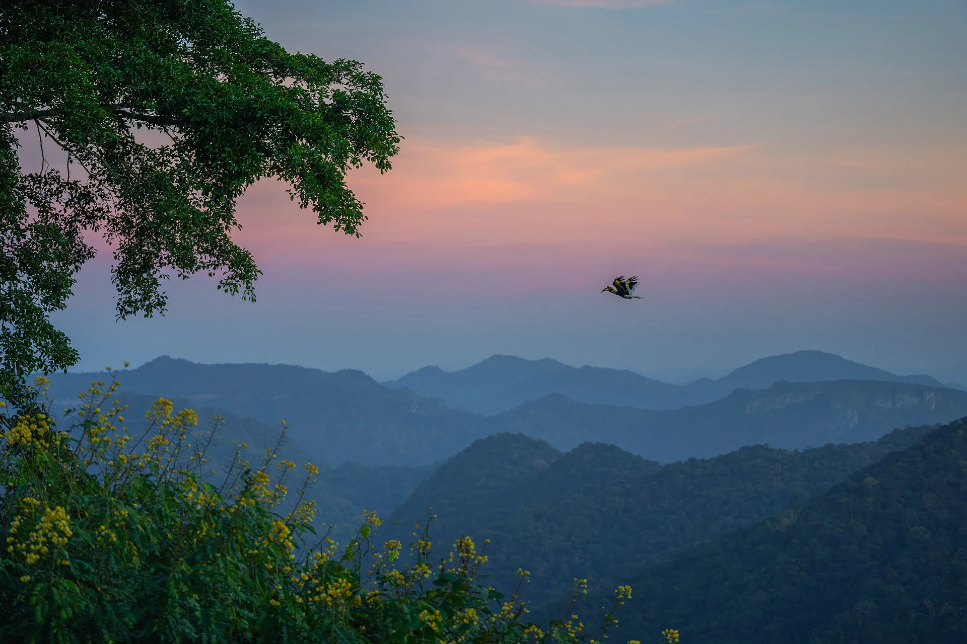 Private Pool Villa Resorts Near Khao Yai National Park