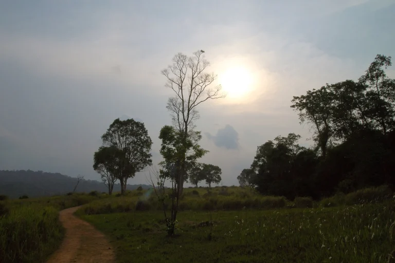 Sunset over the grasslands of Khao Yai