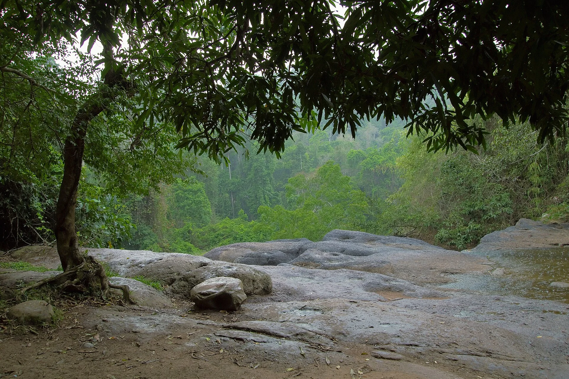 The Best Time to Visit Khao Yai